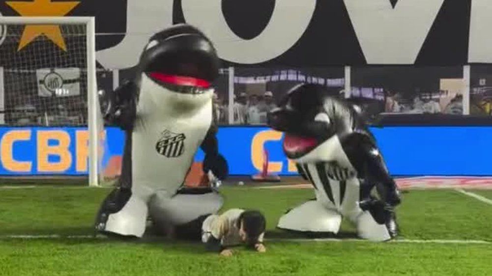 Video: Orcas fallen über Fußballfan her