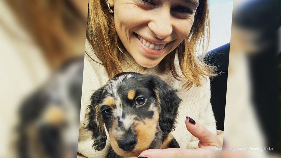 Emilia Clarke begeistert mit ihrem neuen Welpen