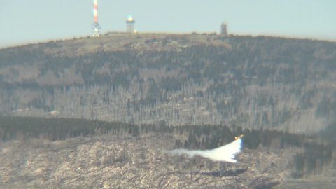 Harz: Waldbrand am Königsberg schnell gelöscht