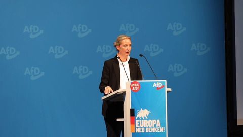 Trotz Krah-Eklat stabile Zustimmung zur AfD - Parteispitze kämpferisch