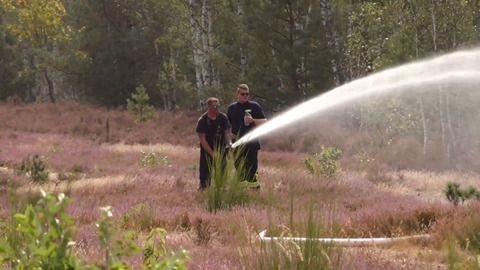 Brandenburg: Waldbrand bei Jüterbog breitet sich aus