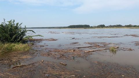 Erster Hochwasseralarm an Oder - Wasserstände steigen weiter
