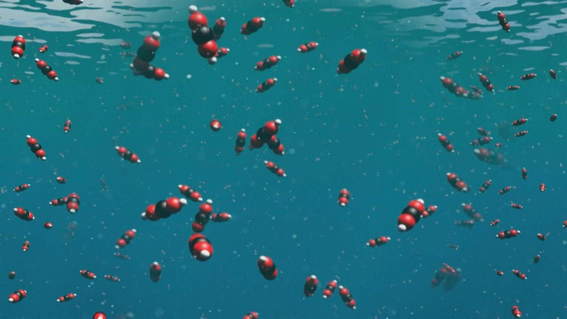 Videografik: Die Versauerung der Meere
