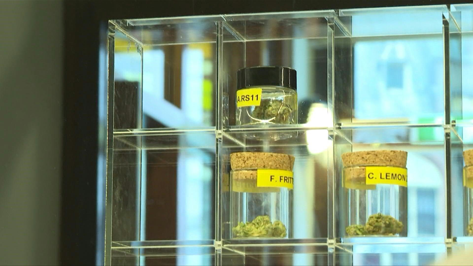 Niederlande: Cannabis wird nach jahrelanger Tolerierung probeweise legal