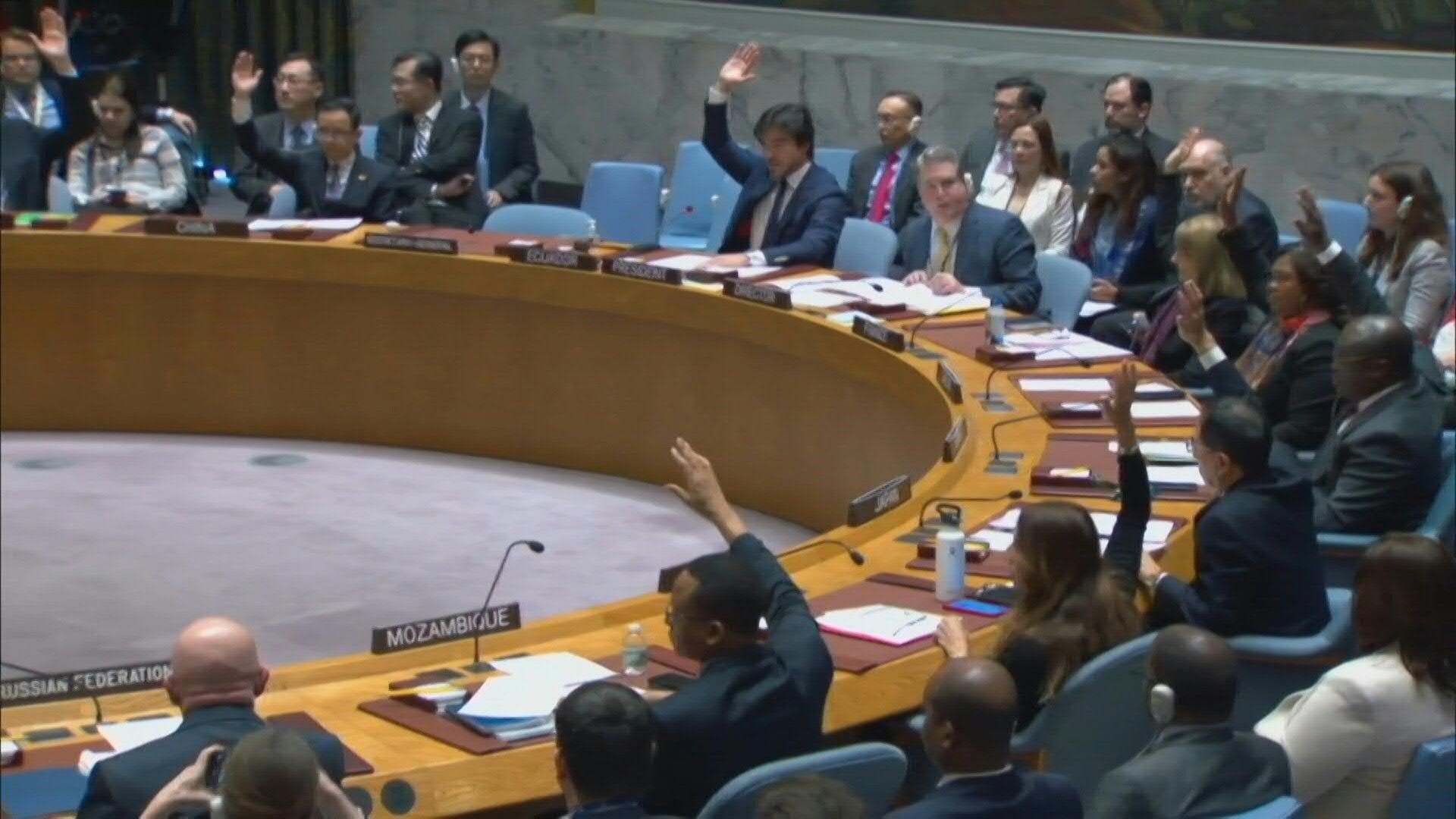 UN Security Council 'demands' Gaza aid deliveries at scale