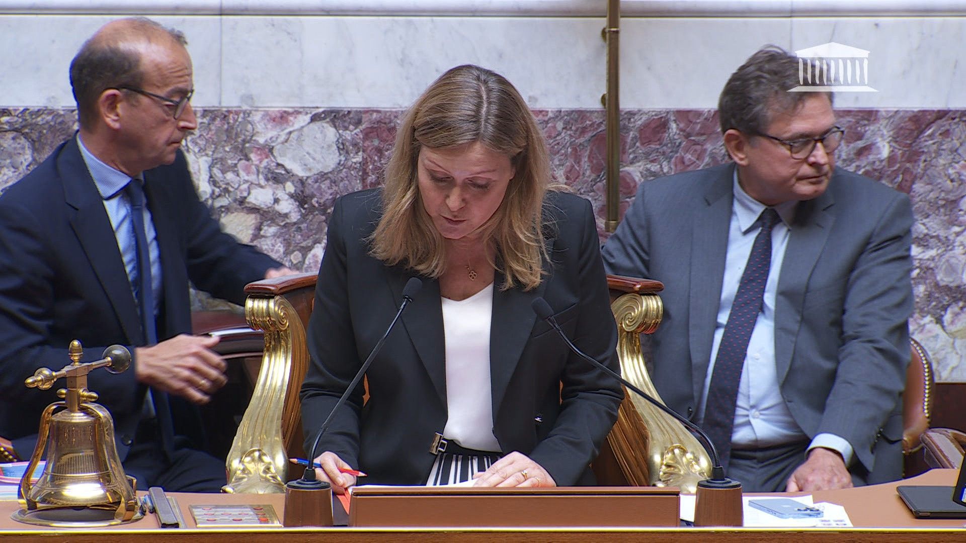 France lawmaker suspended for waving Palestinian flag