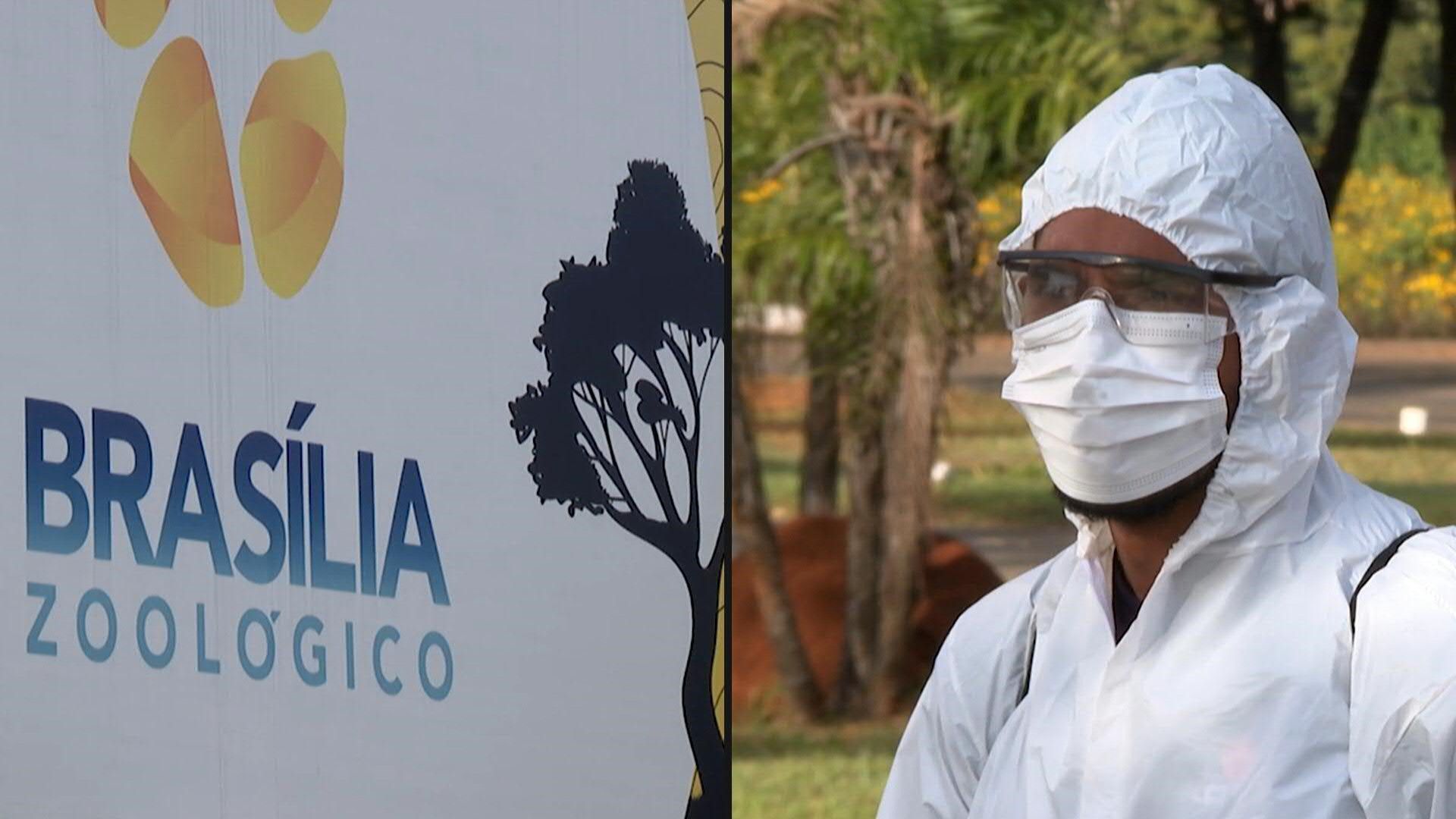 Brasilia Zoo temporarily closes due to suspected bird flu