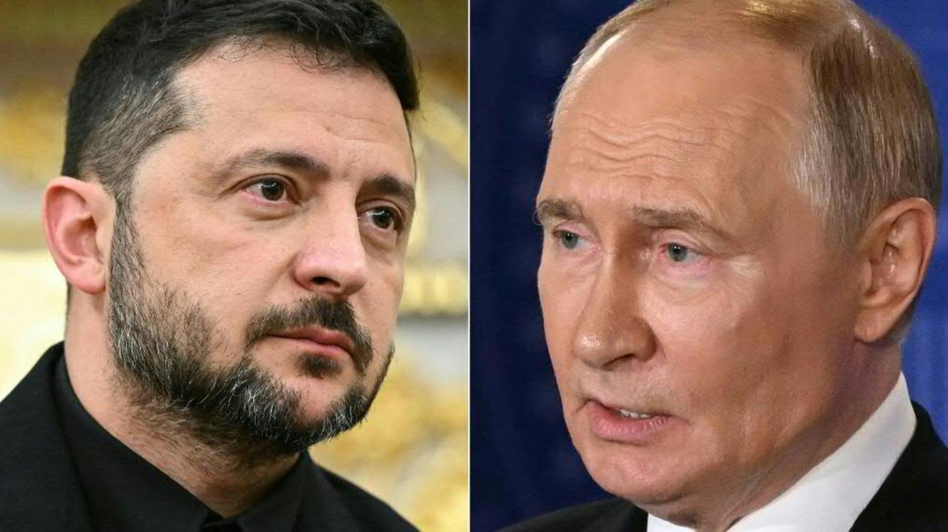 Schweiz will Putin für Selenskyj-Treffen Immunität gewähren
