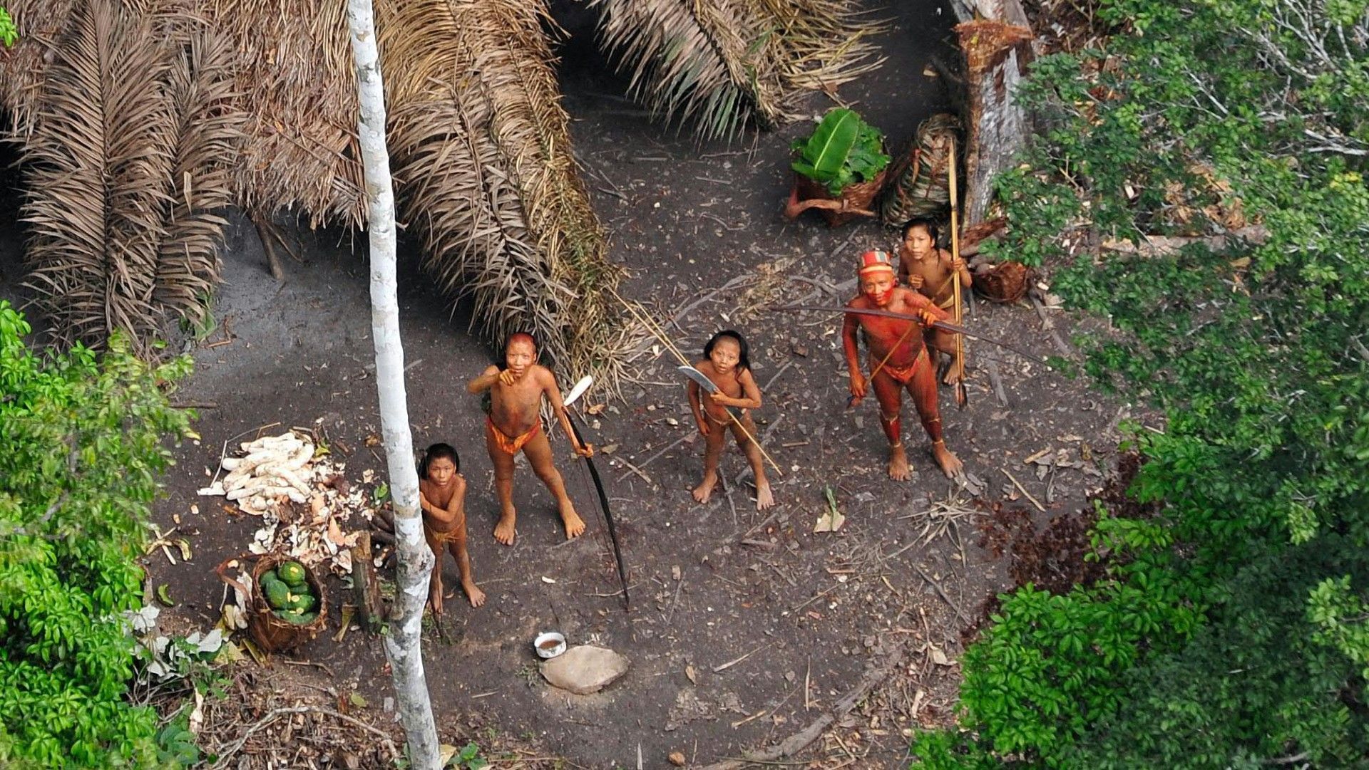 NGO: Viele unkontaktierte Völker könnten bald verschwinden