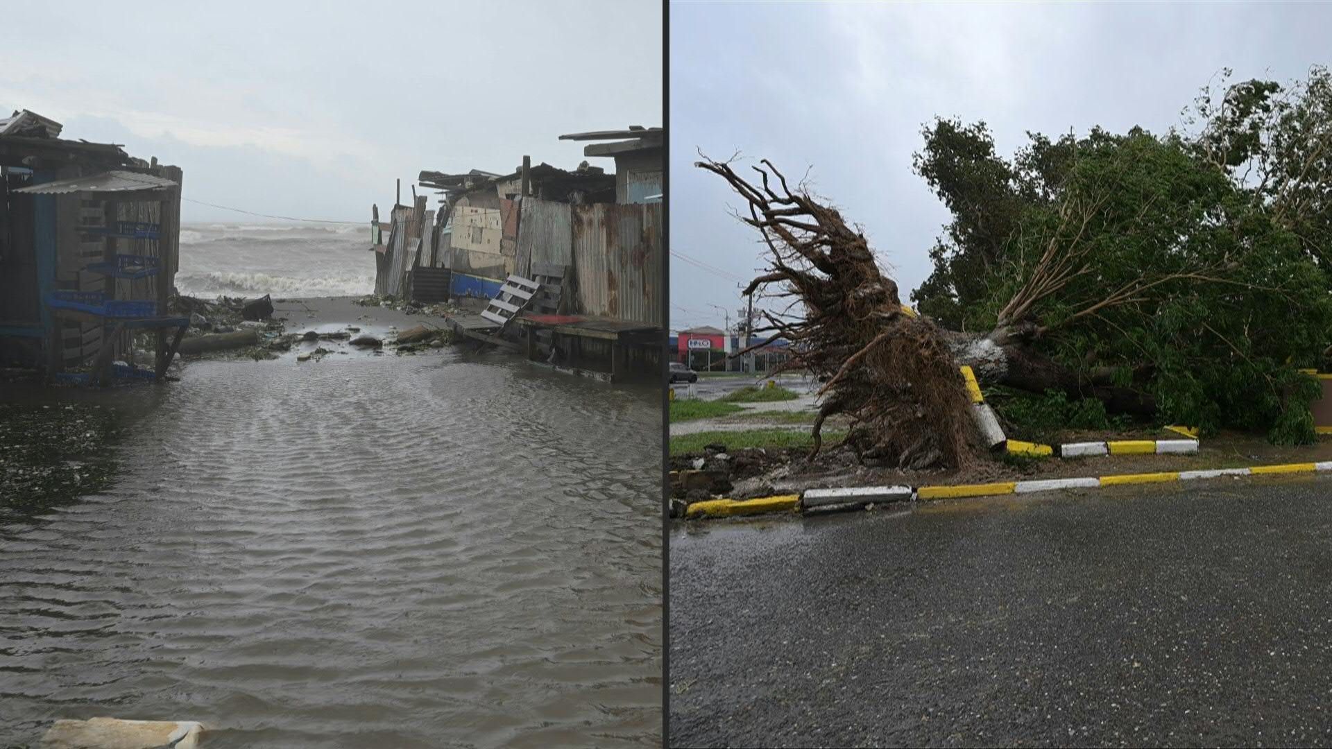 Video: Hurricane Melissa: fallen trees, windy conditions in St. Catherine
