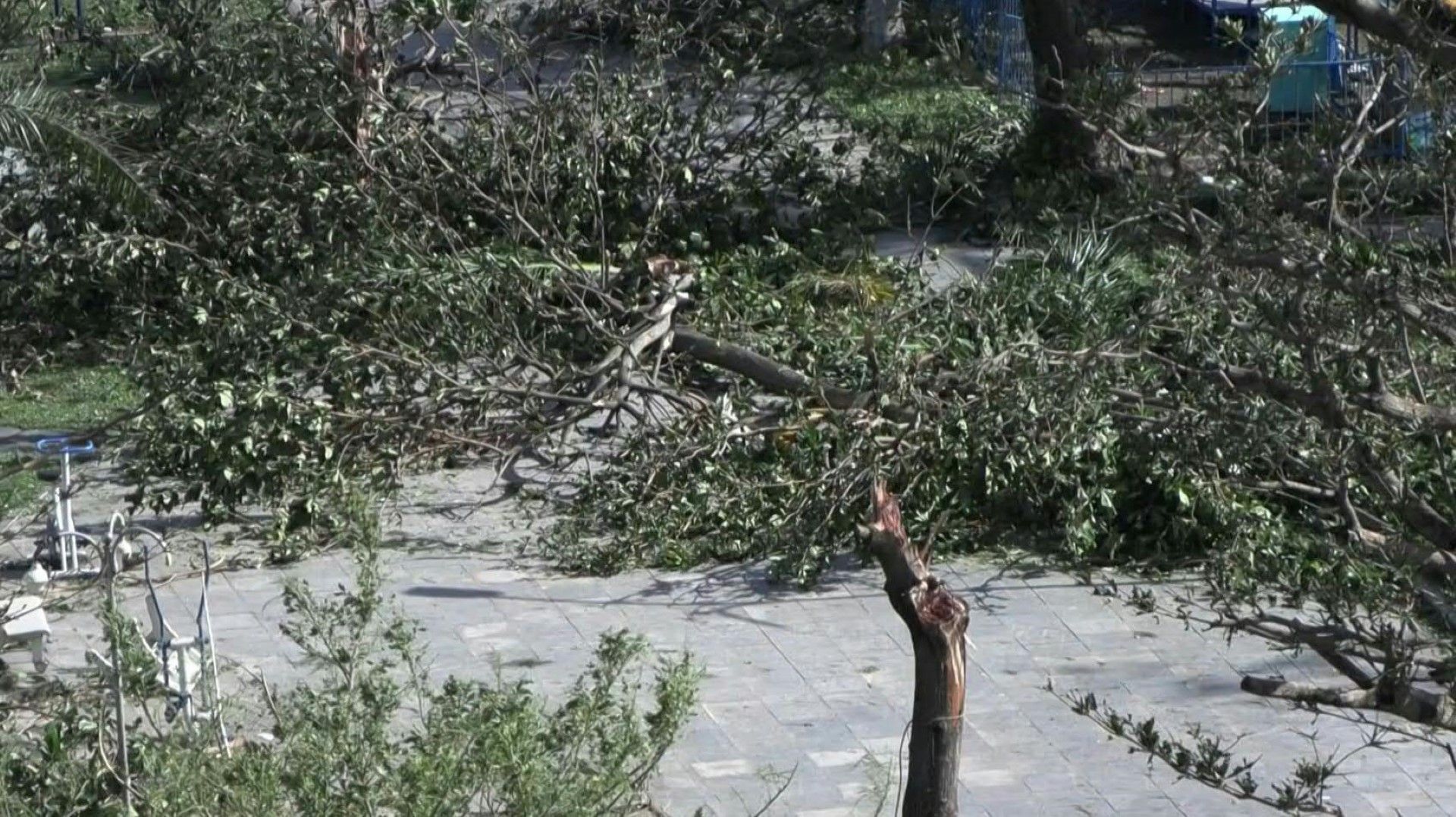 Video: Damaged roofs, fallen trees after Typhoon Kalmaegi hits Vietnam