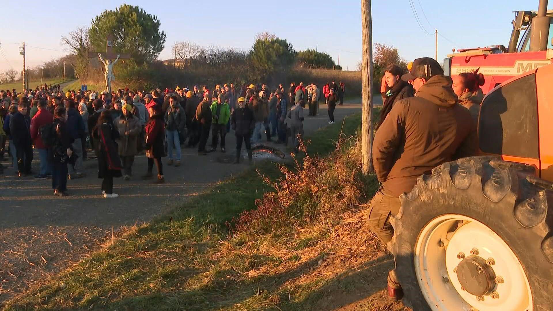 Video: French farmers rally at farm against lumpy skin disease culls