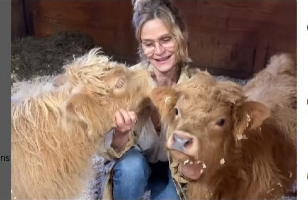Kevin Bacon bought cows for Kyra Sedgwick for her birthday