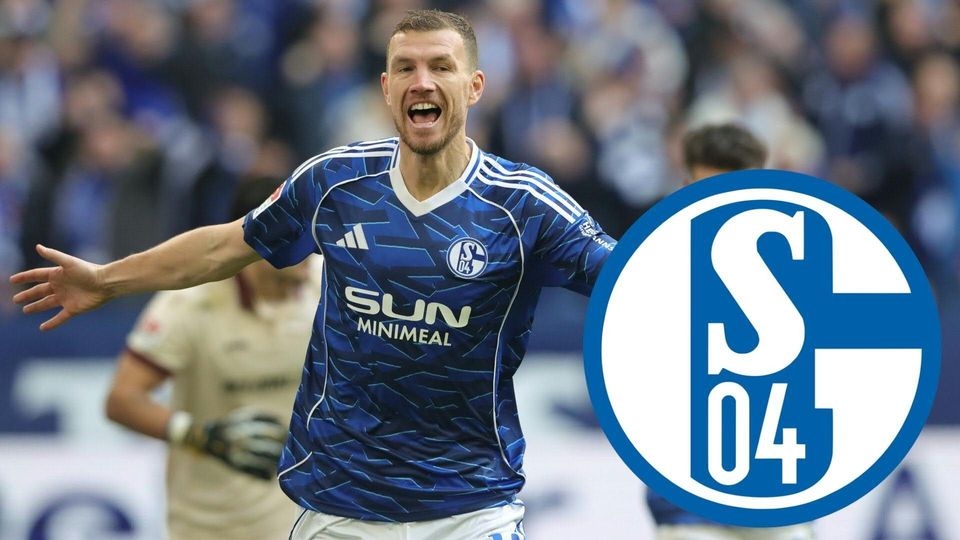 Dzeko glaubt an Schalke-Aufstieg: „Gehört in die Bundesliga“