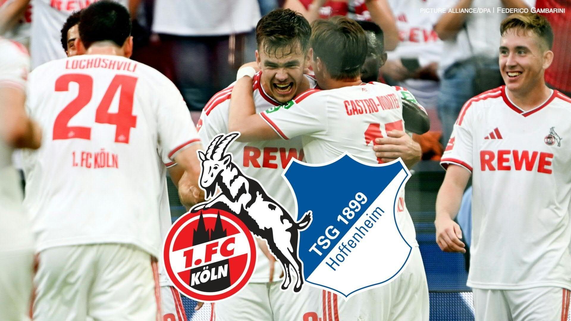 Video: Doppelpack von Dallinga: Köln erkämpft Sieg gegen Hoffenheim