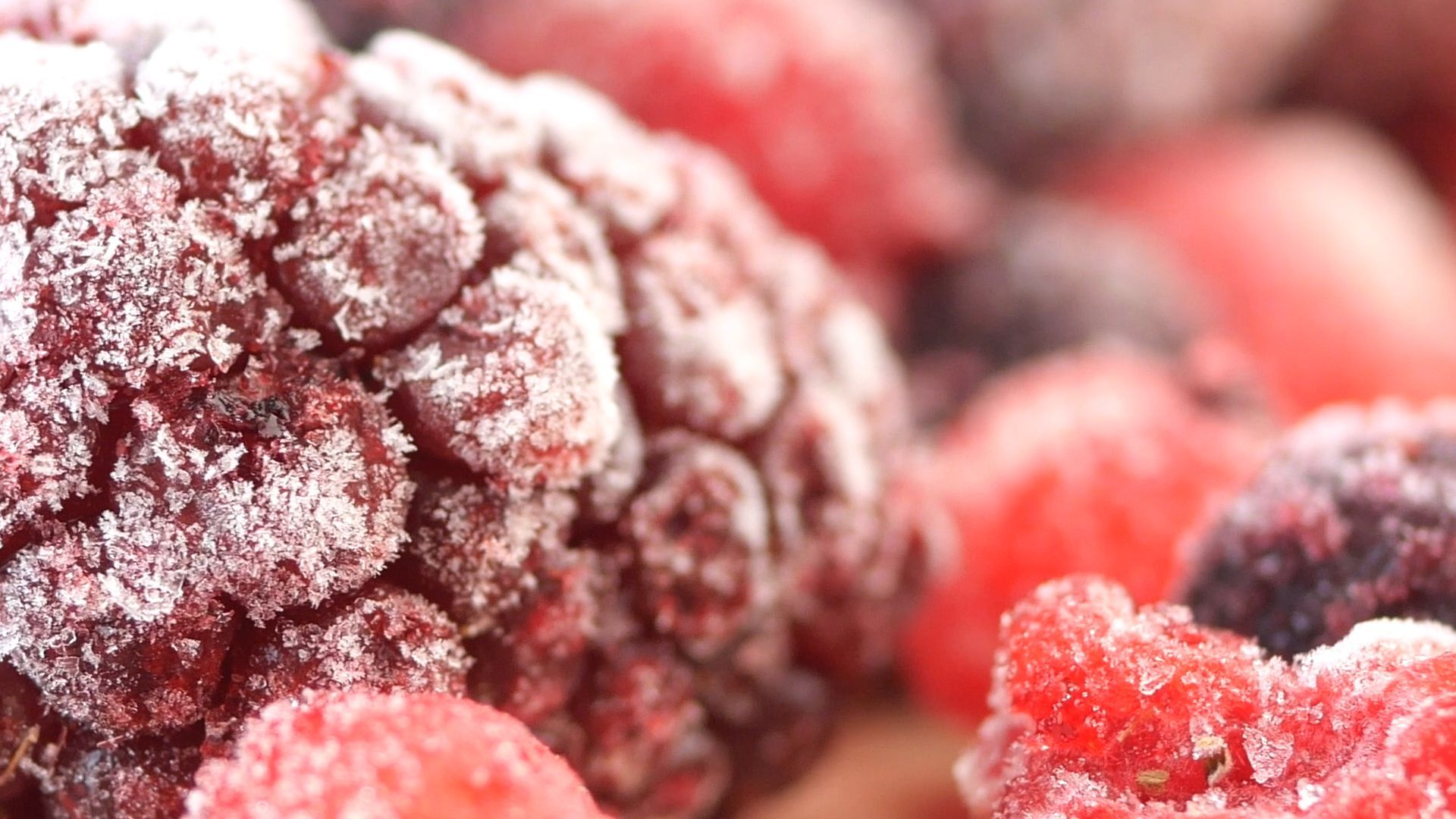 Risks of Frozen Food