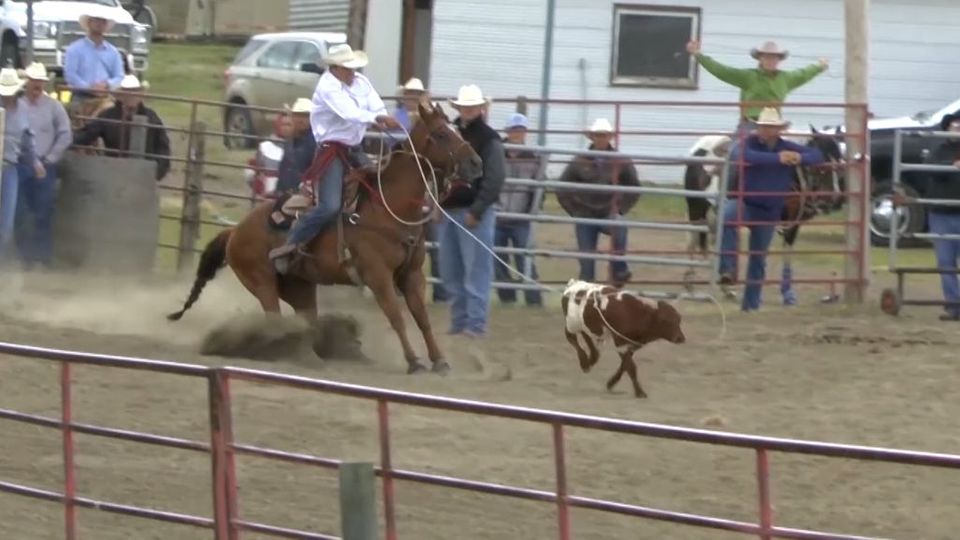 DAS ist Rodeo in Kanada - Travel & Adventure