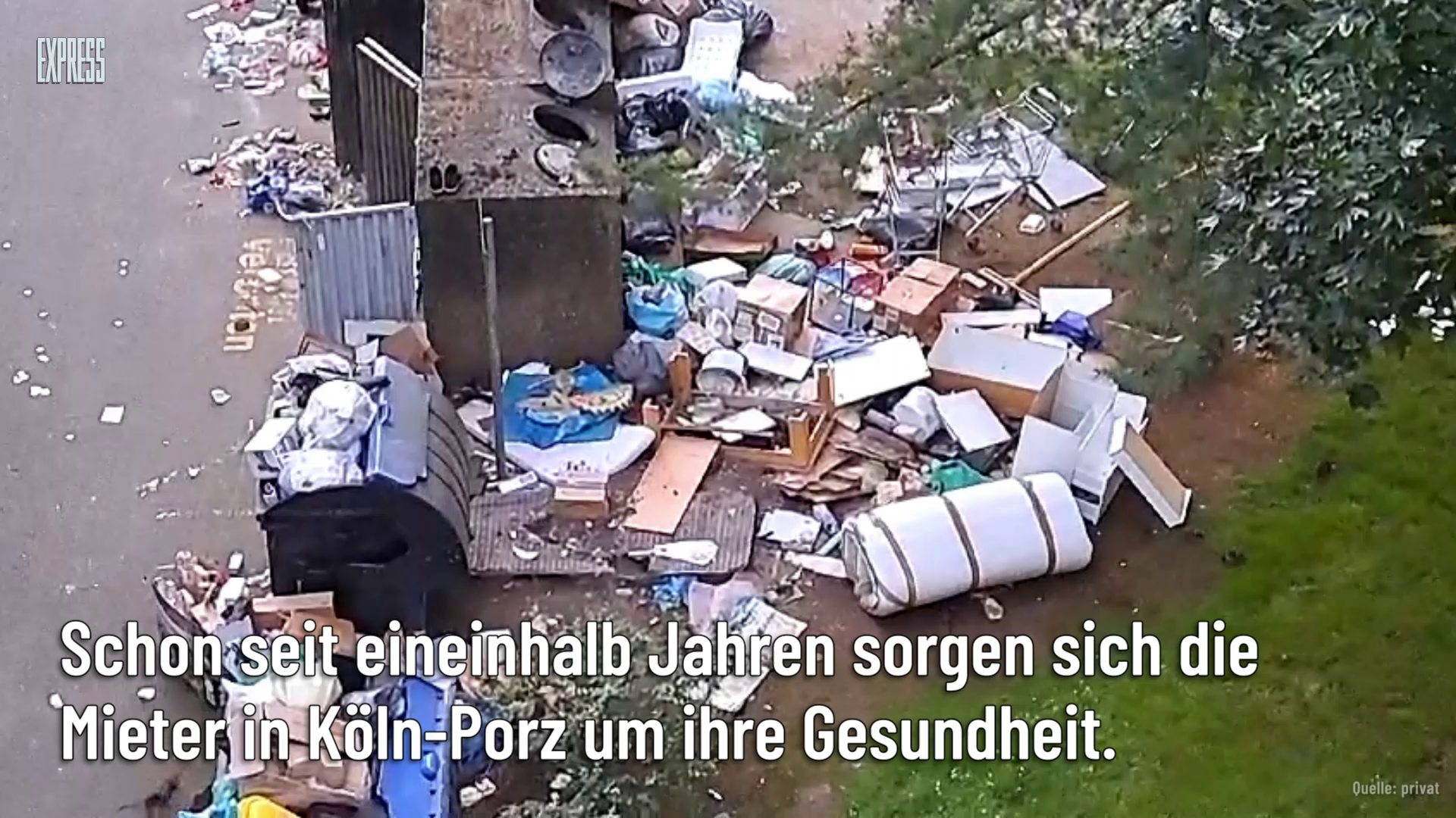 Leben wie auf einer Müllhalde: Rattenplage in Köln-Porz