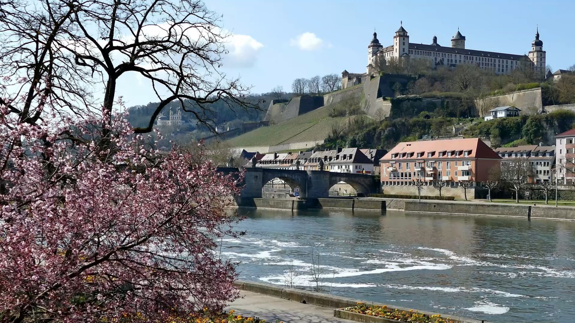 The wine metropolis of Würzburg on the May triangle