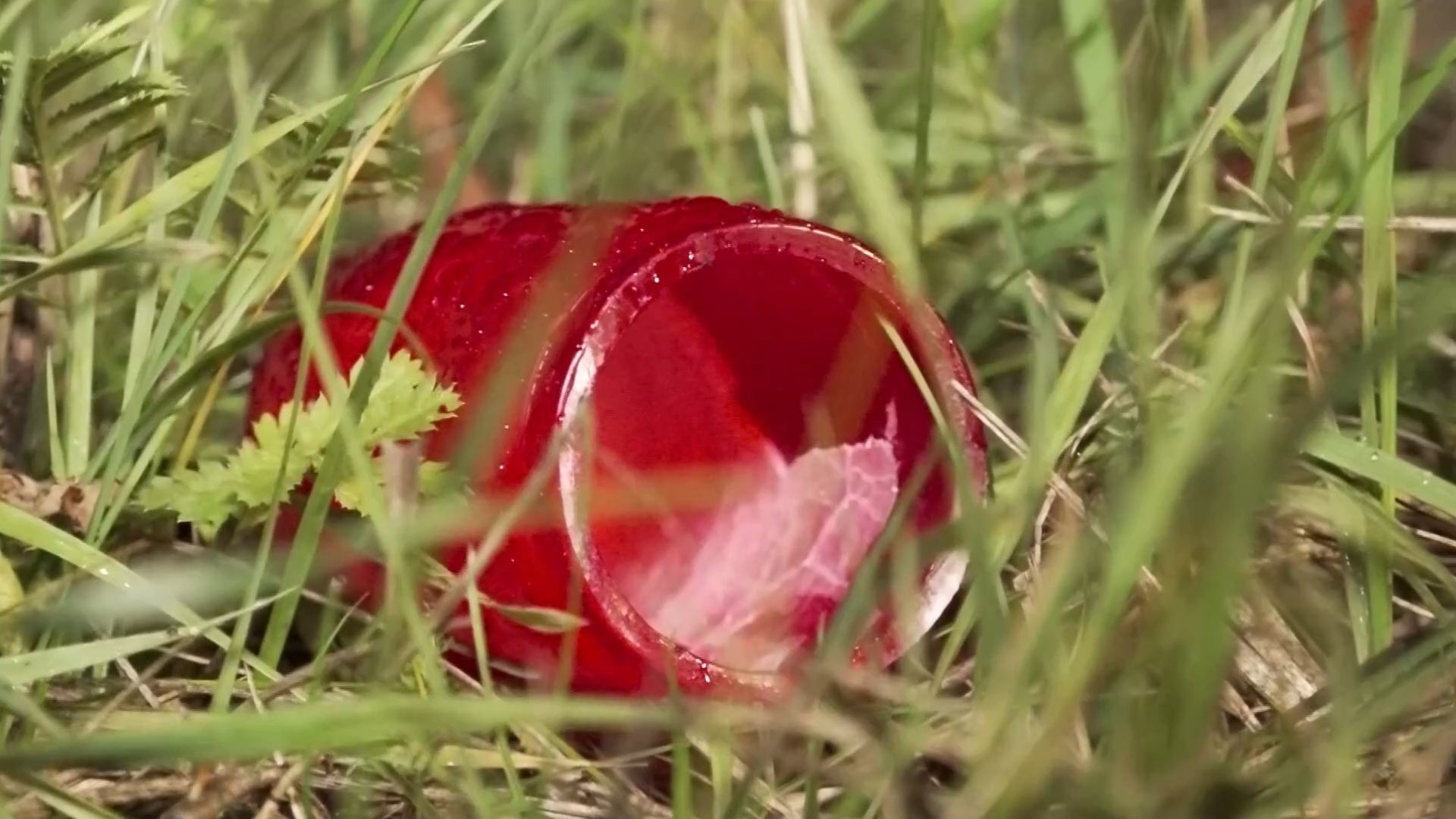 Tödlicher Unfall auf der Bundesstraße: Fußgängerin von Auto erfasst