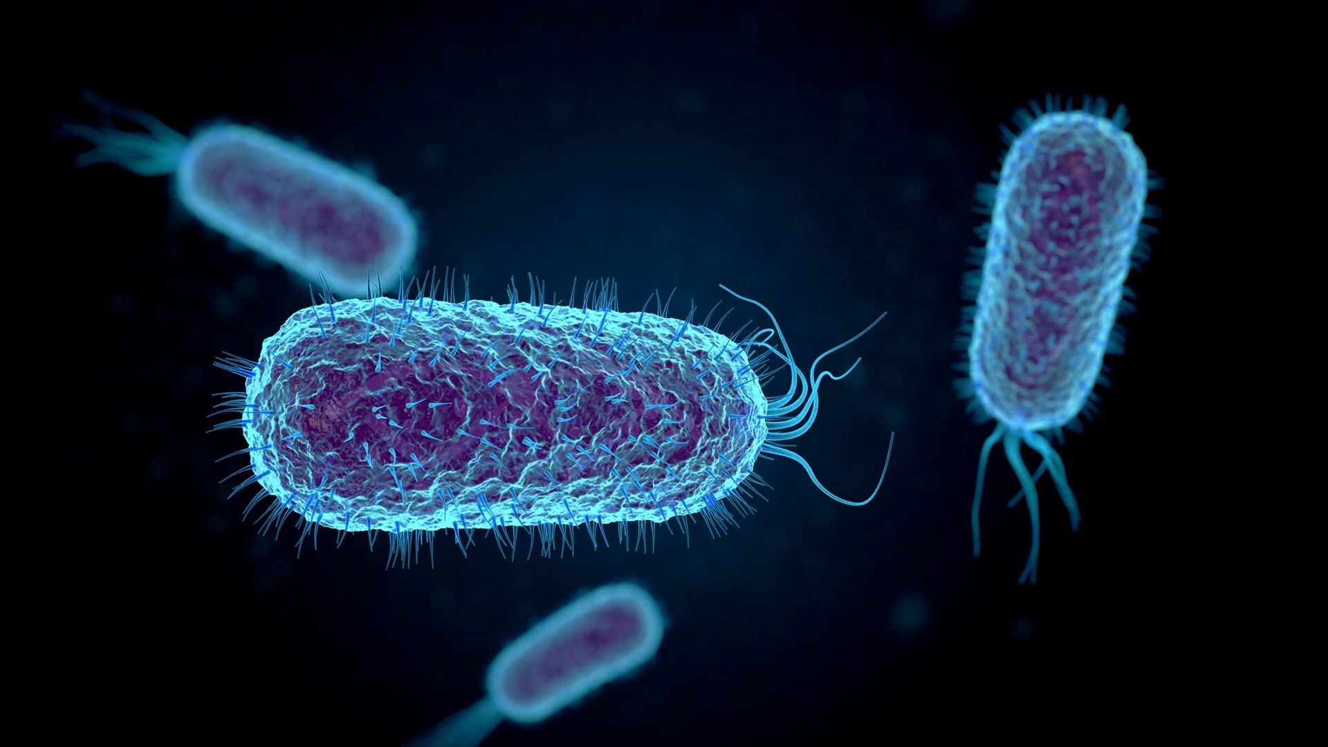 Sharp Increase in Ehec Infections: How to Protect Yourself