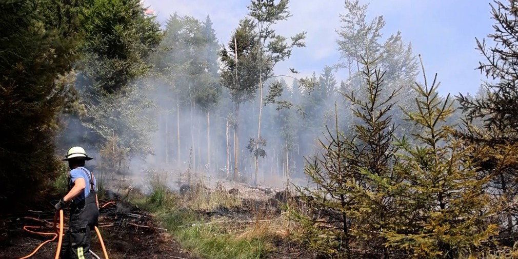 Video: Schon wieder! Anderthalb Fußballfelder Waldfläche in Flammen