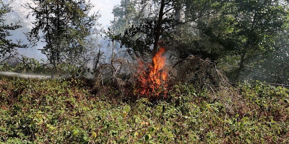 Video: Heftiger Waldbrand löst Großeinsatz aus - Polizei ermittelt