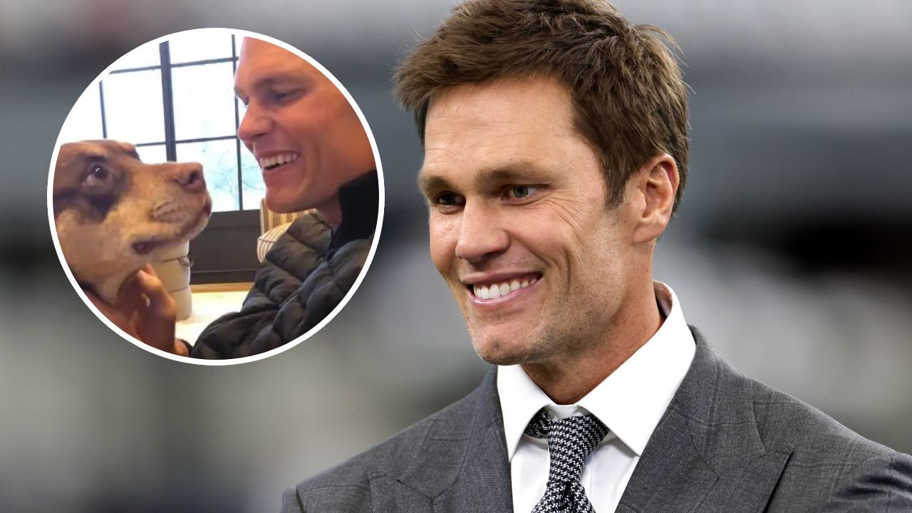 NFL: Tom Bradys verstorbener Hund zurück – dank Klon-Technik!