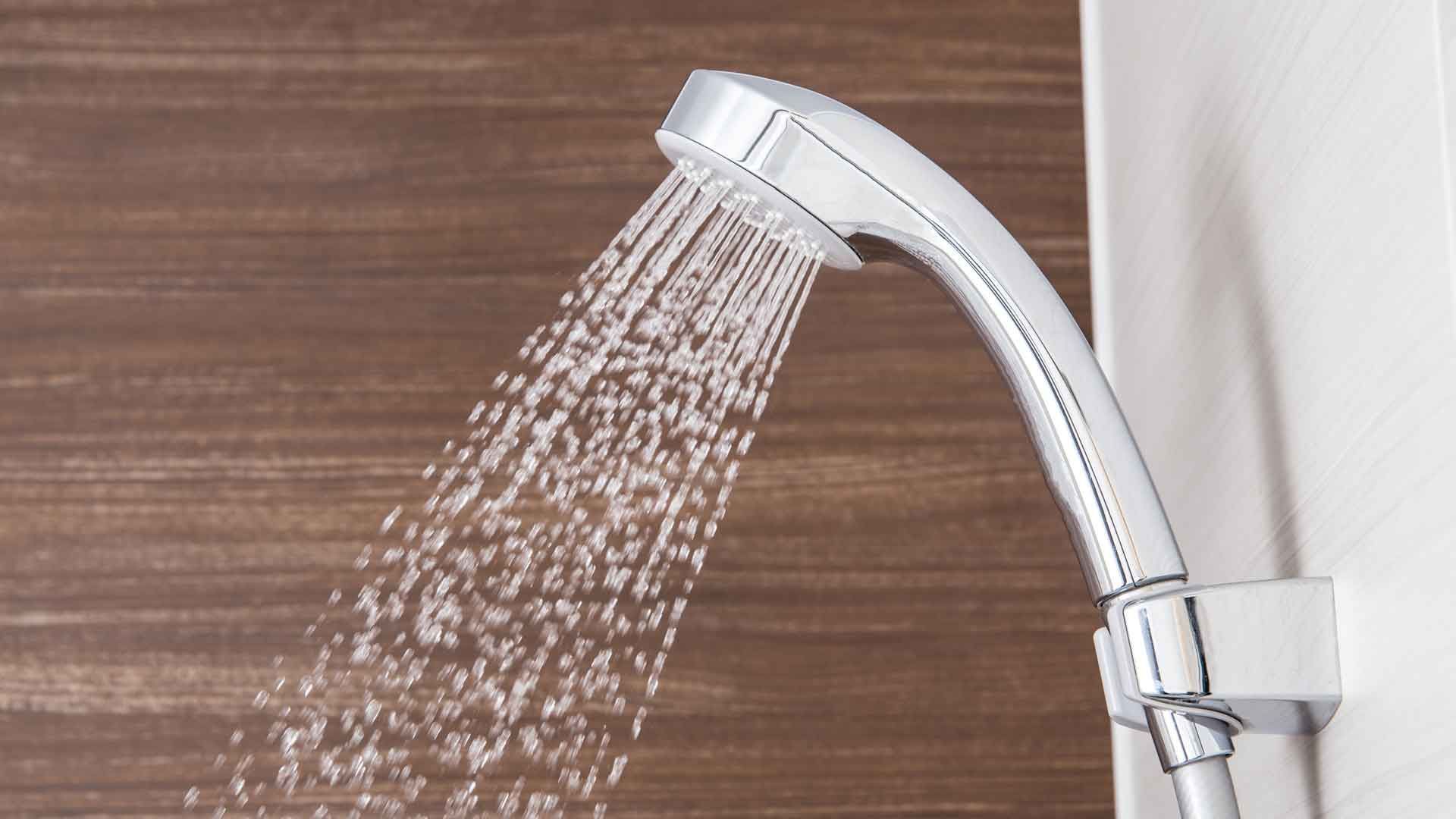 Bakterienfalle im Bad: The Shower Head Shock