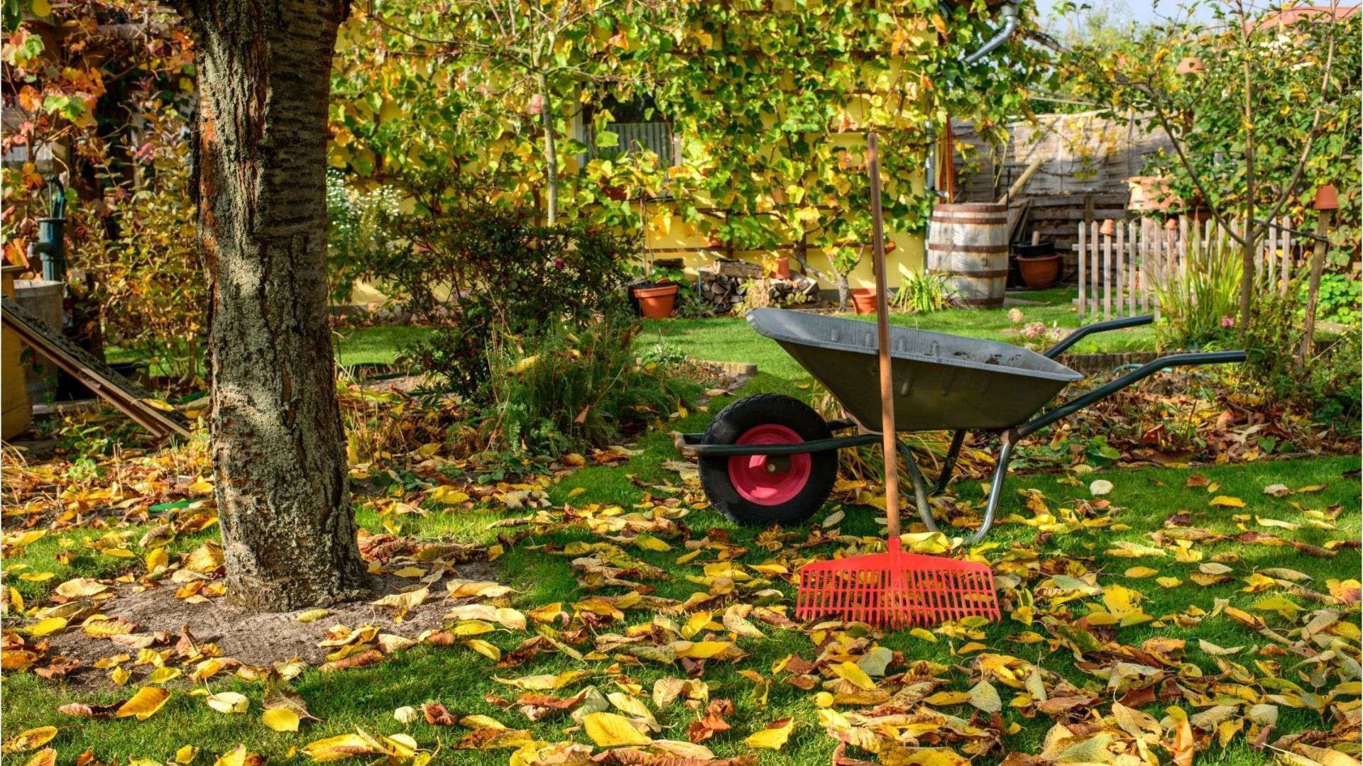 Gärtnern im Herbst: Muss man jetzt noch mal düngen?