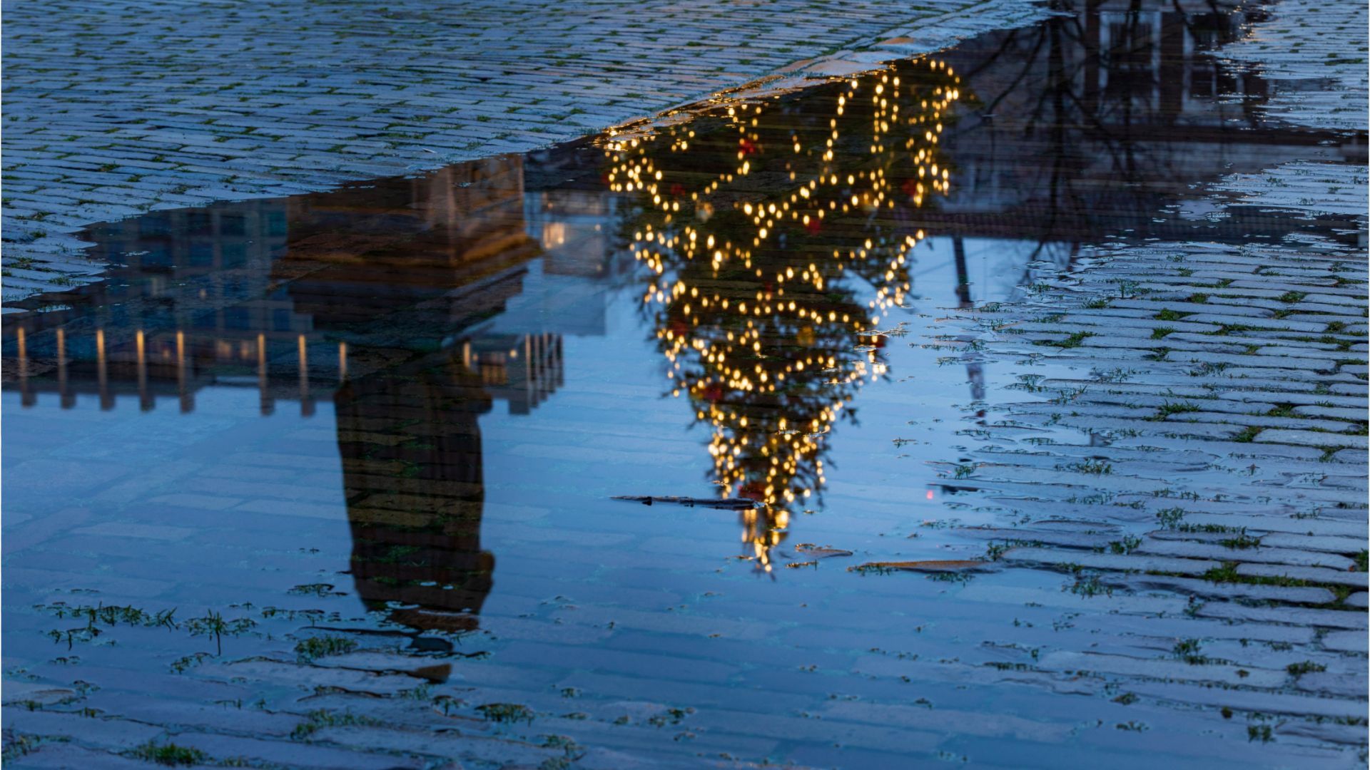 Weiße Weihnachten: Nur in Bayerns Bergen wahrscheinlich