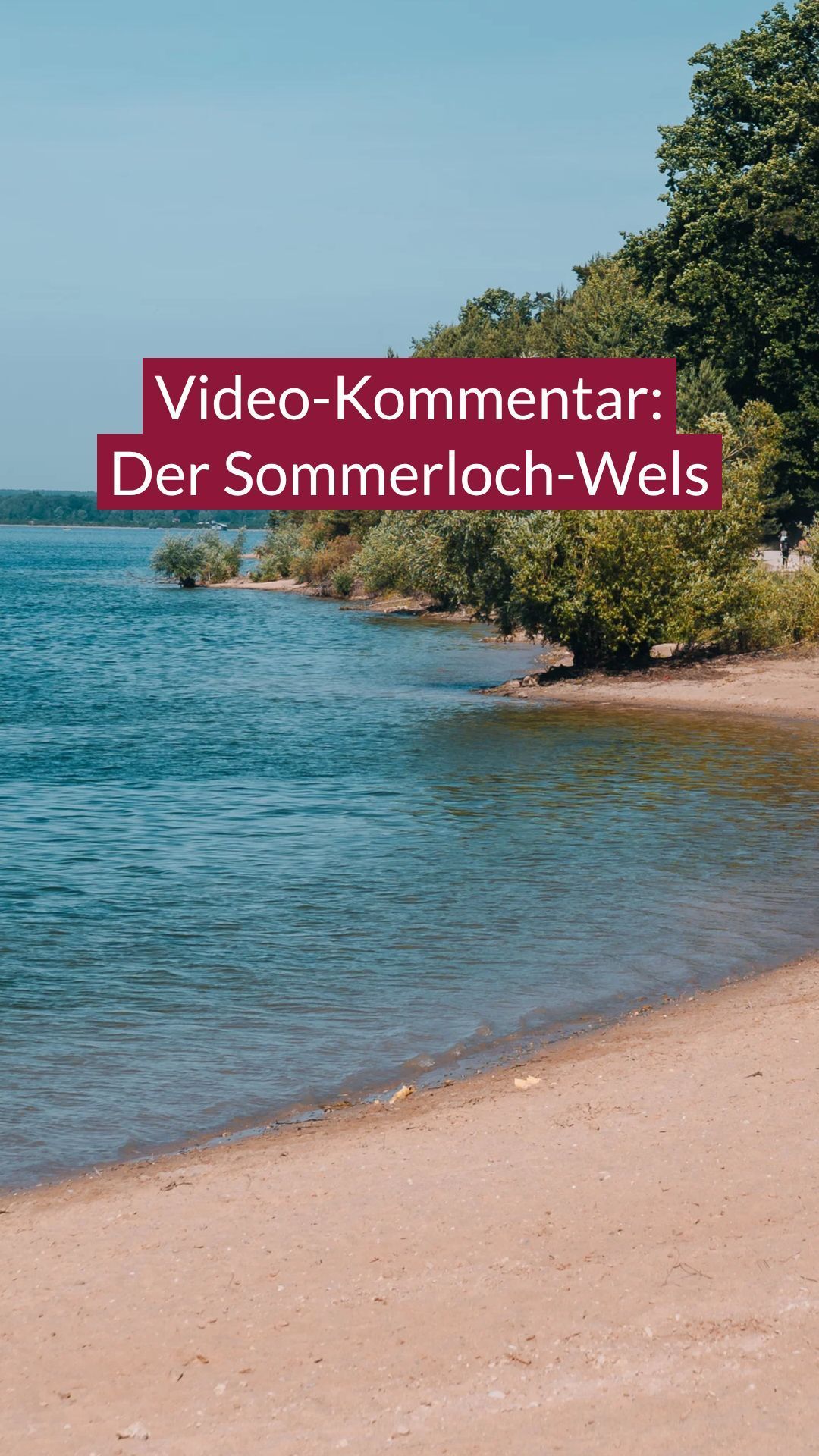 Video: Kommentar_Fisch