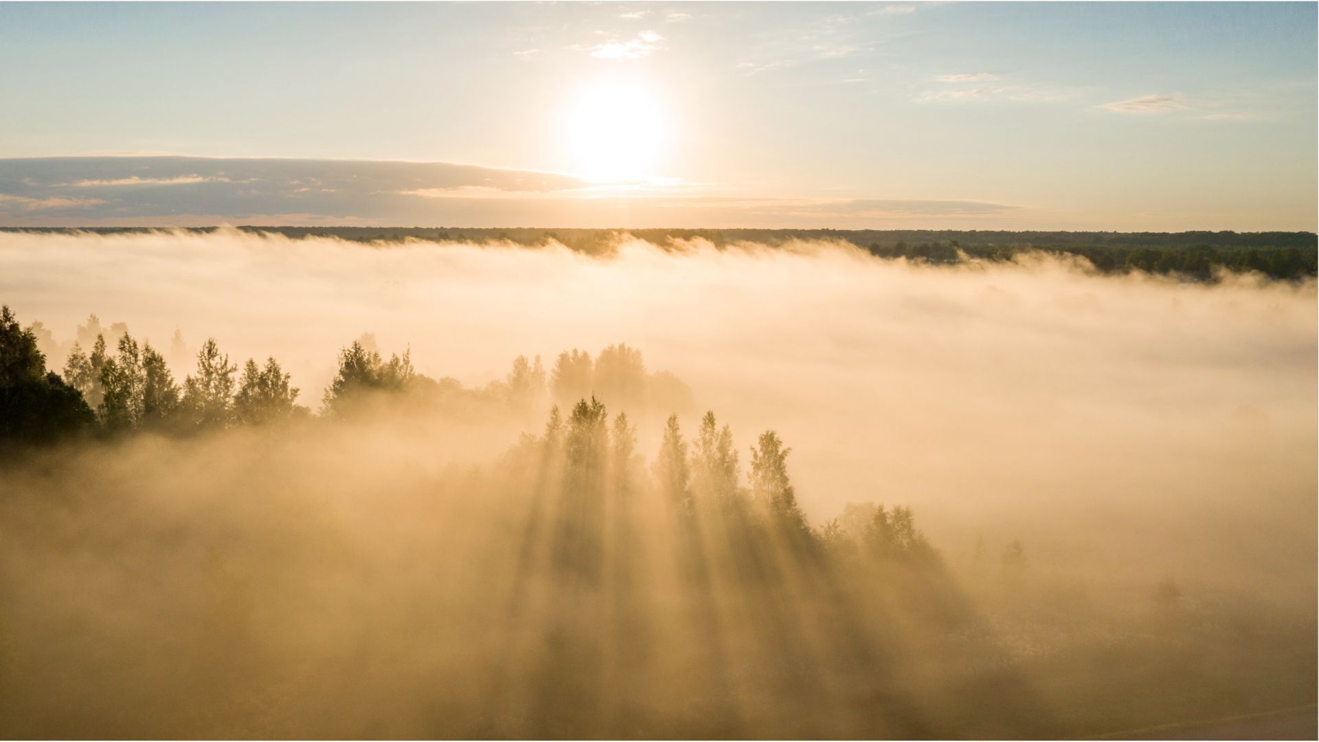 Video: Herbstliches Wochenende bringt Nebel und Sonne