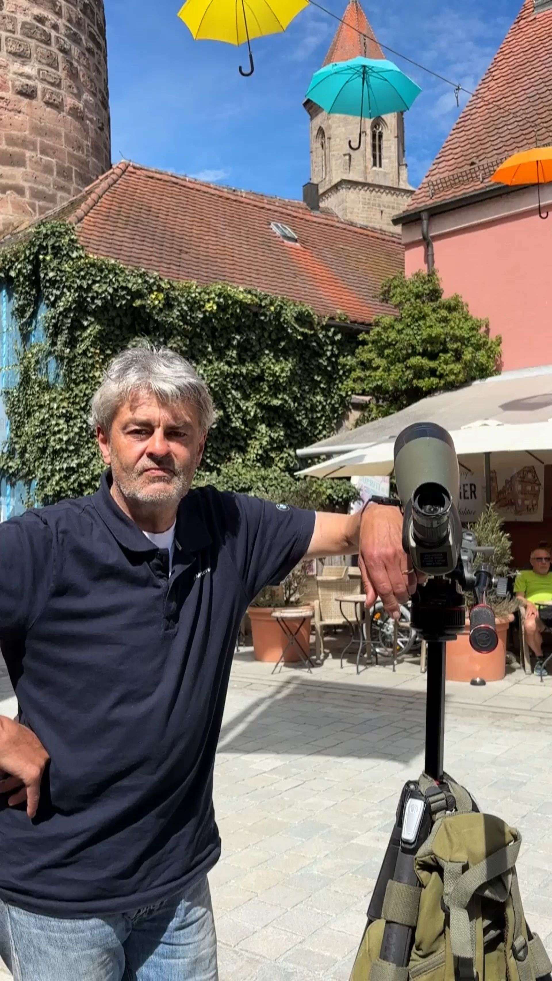 Video: Vögel beobachten