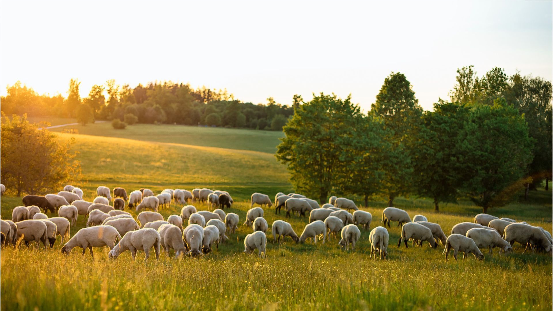 Video: Frühlingswetter in Bayern – Sonne und Wärme kehren zurück