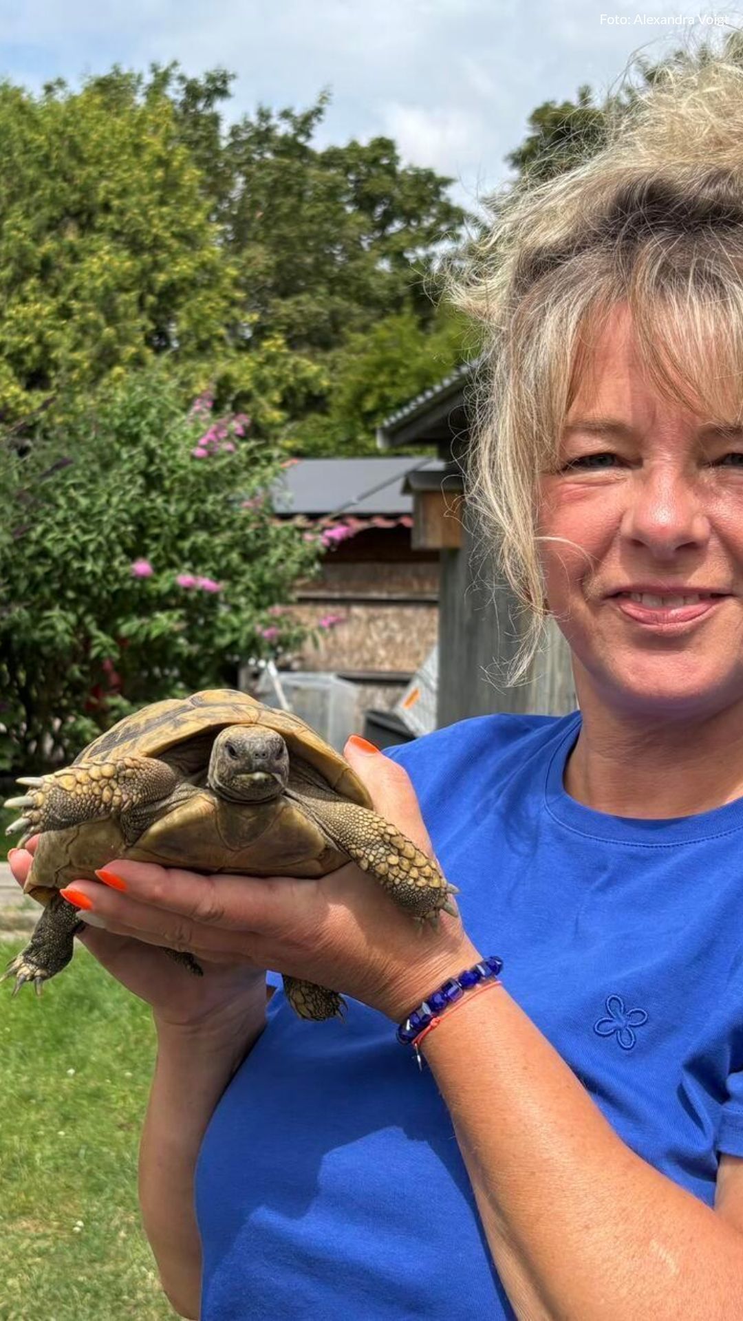 Video: Schildkröte Rosalie hat bei einer Fürtherin ihr Glück gefunden
