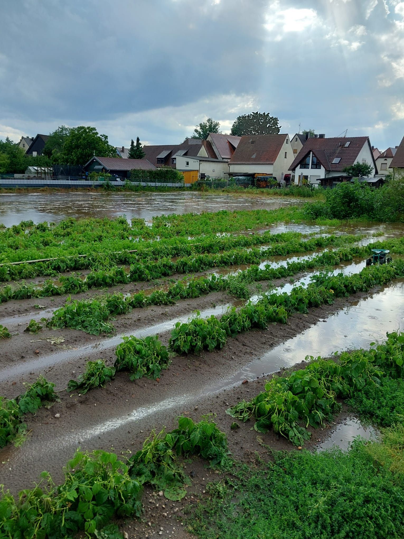 Video: Unwetter im Knoblauchsland in Nürnberg am Freitag, 17. Juli