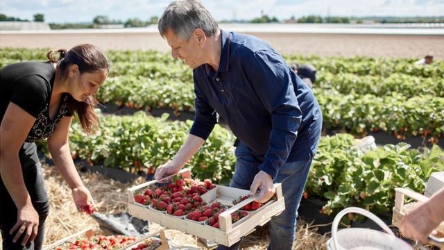 300.000 Landwirte müssen private Daten angeben: „Fühlt sich an wie ein Hack“