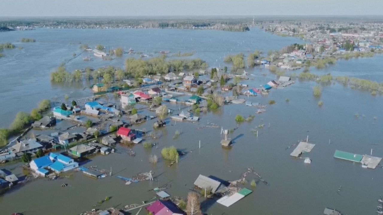 Überschwemmungen in Omsk: Bewohner kämpfen um das Überleben ihres Viehs