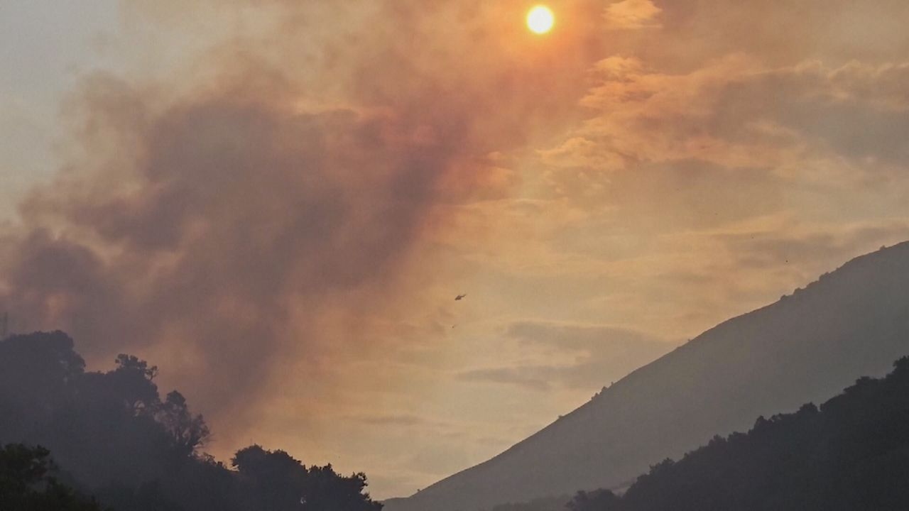 Waldbrände in Südalbanien: Feuerwehr und Militär kämpfen gegen Flammen