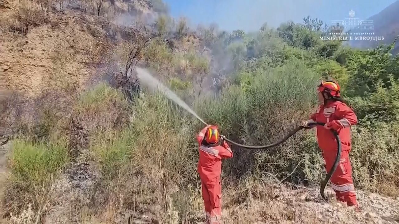 Brände in Albanien: Feuerwehrleute kämpfen gegen Flammen