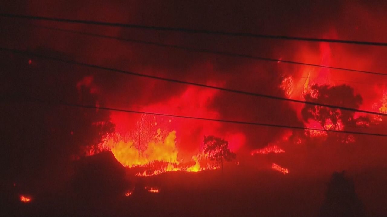Feuer im Norden Portugals: Feuerwehr kämpft gegen mehr als 100 Waldbrände