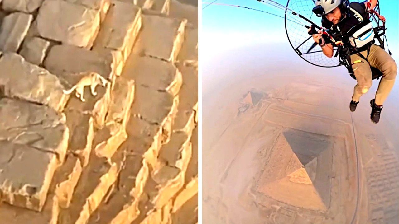 Auf der Spitze von Cheops-Pyramide: Hund bellt Vögel an