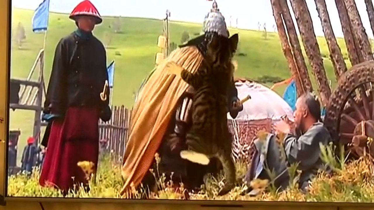 TV-Soldaten im Visier: Kätzchen nimmt den Kampf auf