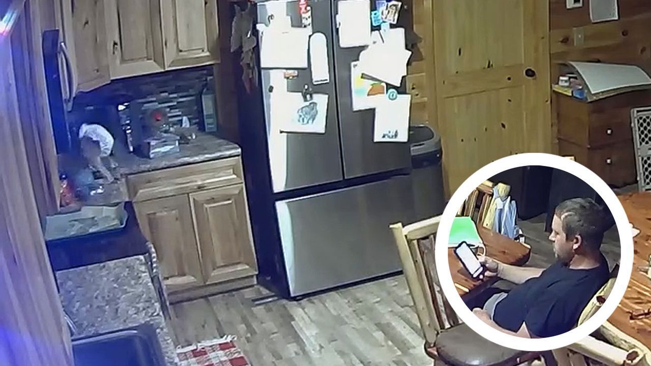 Video: Kleines Känguru springt in Küche herum – Tierheim-Mitarbeiter bleibt seelenruhig