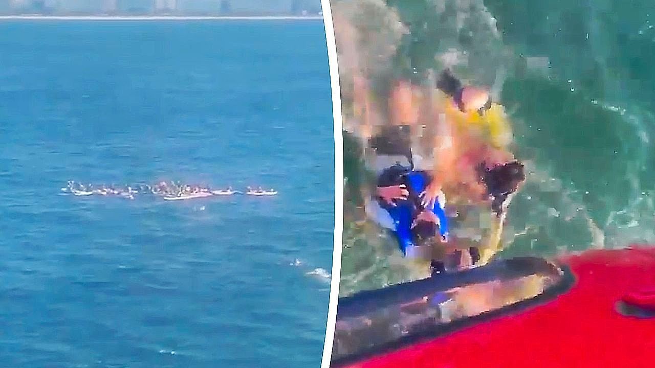 Video: Von „Kokain-Haien“ bedroht: Über 70 Paddleboarder vor Rio gerettet