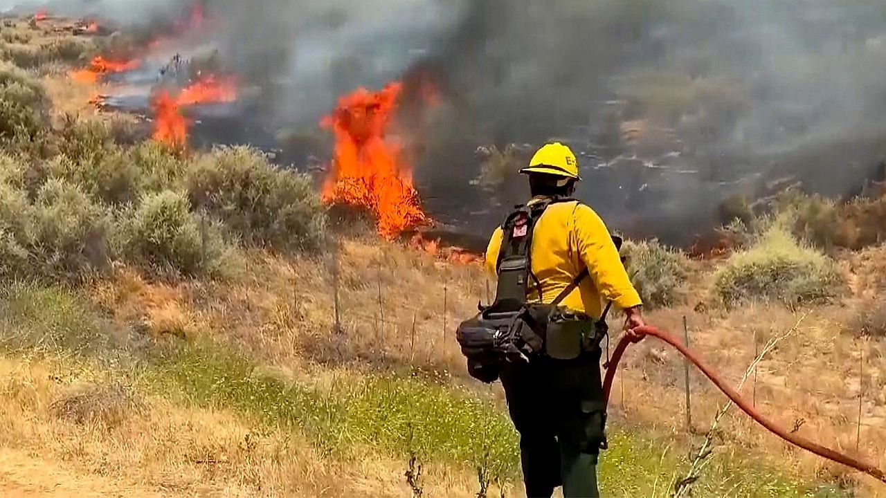 Größtes Feuer des Jahres: Waldbrand in Kalifornien breitet sich rasant aus