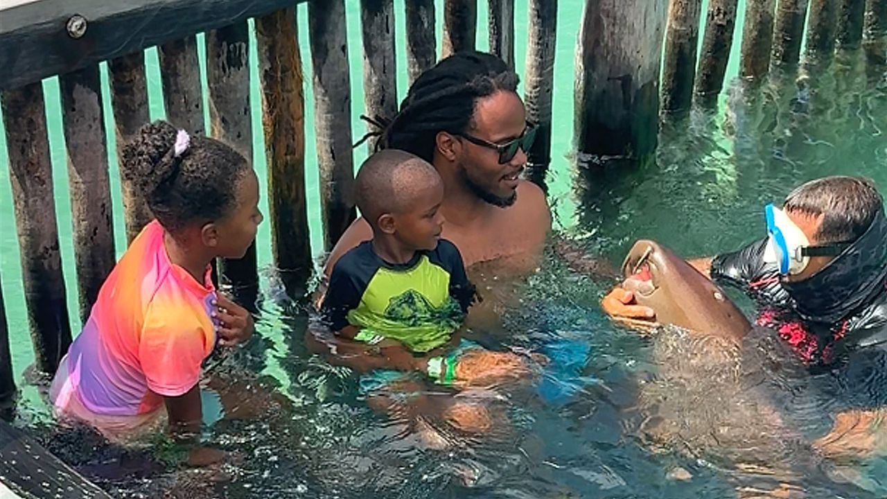 Video: Junger Ammenhai in Mexiko reagiert genervt auf Bauchstreicheln