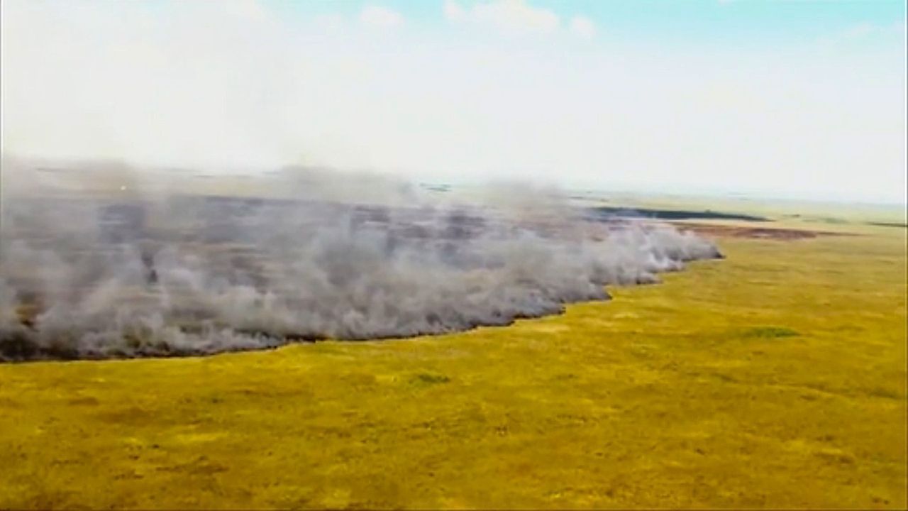 Everglades in Flammen: Kampf gegen Buschbrände in Florida