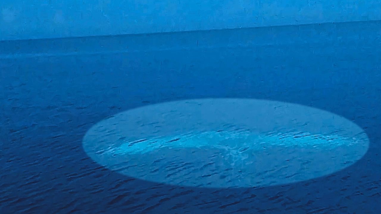 Boaters spot utterly enormous manta ray off the coast of Indonesia